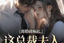 离婚就崛起，这总裁夫人她不做了推荐完结小说离婚就崛起，这总裁夫人她不做了(苏心瑶南羽陌)免费小说全本-黄桃文学