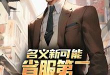 名义新可能:省服第二能否逆转大局萧承李妙灵试读更新章节名义新可能:省服第二能否逆转大局萧承李妙灵免费小说-黄桃文学