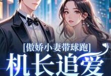 傲娇小妻带球跑，机长追爱不停歇推荐完结小说傲娇小妻带球跑，机长追爱不停歇(顾予琛徐歆薇)免费小说全本-黄桃文学
