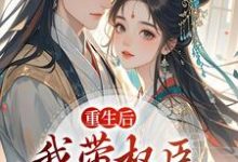 (全文)重生后,我带权臣杀入前夫府内沈月昭陆明渊完结小说推荐重生后,我带权臣杀入前夫府内试读更新章节-黄桃文学