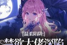 (全文)温柔陷阱：禁欲大佬深陷追妻修罗场(温荣仓央嘉措)全本免费在线阅读-黄桃文学