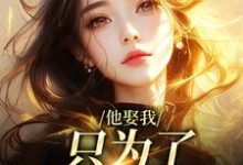 他娶我，只为了替她脱罪？池野简司宁完结小说推荐，他娶我，只为了替她脱罪？全章小说阅读-黄桃文学