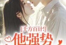 千方百计！他强势夺我闪婚完整版小说千方百计！他强势夺我闪婚(南昭沙赫)全章小说阅读-黄桃文学