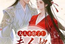 姜宁芷沈鹤书大人不好了!夫人她名动京城了全本免费在线阅读-黄桃文学
