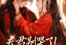 (全文)夫君别哭了！我来替你虐渣（沈婉宁韩云泽）试读更新章节夫君别哭了！我来替你虐渣免费小说-黄桃文学