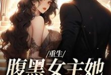 重生：腹黑女主她携霸总而来沈禾宋敬呈免费小说重生：腹黑女主她携霸总而来推荐完结小说-黄桃文学