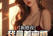 新婚夜，我拿着离婚协议黯然离场叶修远白若雪完结小说推荐，新婚夜，我拿着离婚协议黯然离场全章小说阅读-黄桃文学