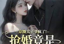京圈太子爷疯了！抢婚竟是蓄谋已久完整版小说京圈太子爷疯了！抢婚竟是蓄谋已久(陆妄辞虞晚颜)全章小说阅读-黄桃文学