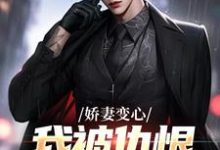 娇妻变心，我被仇恨占据了全身路无铭墨凉馨完结小说推荐，娇妻变心，我被仇恨占据了全身全章小说阅读-黄桃文学