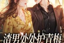 渣男处处护青梅，重生改嫁他急了热门小说排行榜渣男处处护青梅，重生改嫁他急了方毅沈绮免费小说全本-黄桃文学