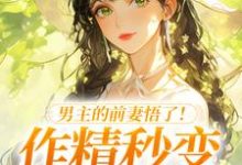 男主的前妻悟了!作精秒变粘人精热门小说排行榜男主的前妻悟了!作精秒变粘人精许岁宁霍青山免费小说全本-黄桃文学
