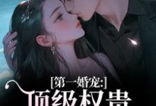(全文)第一婚宠:顶级权贵追妻火葬场叶惊兰薄戎淮最新完结小说第一婚宠:顶级权贵追妻火葬场免费小说全本-黄桃文学