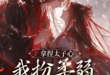 沈春颐商鹤亦拿捏太子心,我扮柔弱他就认错!全本免费在线阅读-黄桃文学