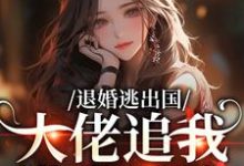 退婚逃出国,大佬追我满世界跑推荐完结小说退婚逃出国,大佬追我满世界跑(江野崎楚灵兮)免费小说全本-黄桃文学