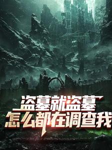 盗墓就盗墓，怎么都在调查我完整版小说，盗墓就盗墓，怎么都在调查我吴邪白小白全章小说阅读
