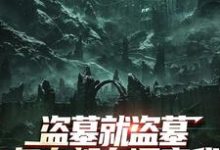 (全文)盗墓就盗墓,怎么都在调查我(吴邪白小白)免费小说盗墓就盗墓,怎么都在调查我试读更新章节-黄桃文学