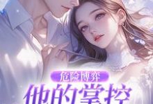 (全文)危险博弈:他的掌控与她的反杀热门小说排行榜,危险博弈:他的掌控与她的反杀叶时欢全章小说阅读-黄桃文学