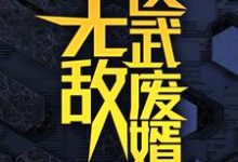 (全文)无敌医武废婿(秦铭)试读更新章节无敌医武废婿免费小说-黄桃文学