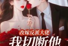 (全文)改嫁反派大佬,我切断他黑化根源!(江知微萧著)全本书籍阅读改嫁反派大佬,我切断他黑化根源!免费小说全本-黄桃文学