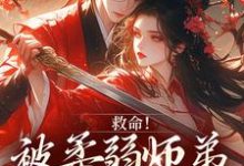 (全文)救命!被柔弱师弟撩到破防了免费小说全本,南九辞白江敛试读更新章节-黄桃文学