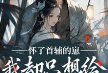 裴砚声崔令宜怀了首辅的崽，我却只想给娃找后爹全本免费在线阅读-黄桃文学