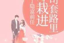 甩了隐富前任，却栽进上司套路里完整版小说甩了隐富前任，却栽进上司套路里(林昭陆景淮)全章小说阅读-黄桃文学