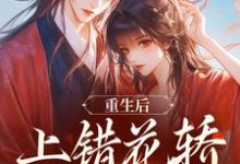 重生后，上错花轿嫁对纨绔谢北洺沈云舒完结小说推荐，重生后，上错花轿嫁对纨绔全章小说阅读-黄桃文学