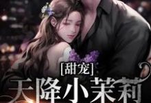 甜宠：天降小茉莉住进了我家沈津南林听热门小说排行榜甜宠：天降小茉莉住进了我家免费小说-黄桃文学