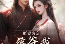 (全文)贬妻为妾,侯爷我不伺候啦慎如余启小说推荐,贬妻为妾,侯爷我不伺候啦全章小说阅读-黄桃文学
