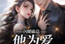 (全文)闪婚霸总,他为爱抛弃一切免费小说全本,苏绿柔厉墨焱试读更新章节-黄桃文学