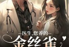 医生,您养的金丝雀要飞走了最新完结小说医生,您养的金丝雀要飞走了苏慕春丁嘉朗免费小说-黄桃文学