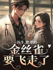 医生，您养的金丝雀要飞走了最新完结小说医生，您养的金丝雀要飞走了苏慕春丁嘉朗免费小说