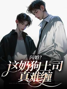闪婚？这奶狗上司真难缠赵芜鱼邓北辰免费小说闪婚？这奶狗上司真难缠推荐完结小说