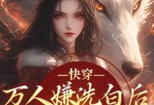(全文)快穿：万人嫌洗白后成香饽饽了热门小说排行榜，快穿：万人嫌洗白后成香饽饽了林观贞裴钧全章小说阅读-黄桃文学