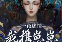 (全文)一夜迷情，我携崽崽俘获他云素予段凌霁小说推荐，一夜迷情，我携崽崽俘获他全章小说阅读-黄桃文学