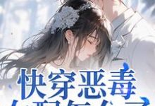 快穿恶毒女配怎么了,男主他超爱江辞晚傅云承最新完结小说,快穿恶毒女配怎么了,男主他超爱全本免费在线阅读-黄桃文学