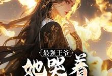 最强王爷：她哭着跟我求和（杨凡）全章小说阅读-黄桃文学