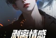 (全文)剥离情感，你我用不相爱免费小说全本，陆琛试读更新章节-黄桃文学