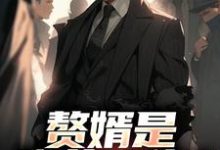 (全文)赘婿是隐藏大佬？前妻哭晕​​（萧别离）全本书籍阅读赘婿是隐藏大佬？前妻哭晕​​免费小说全本-黄桃文学