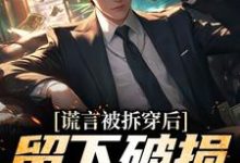 (全文)谎言被拆穿后，留下破损的婚姻(张齐)全本免费在线阅读-黄桃文学