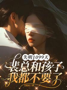 (全文)失明1099天，裴总和孩子我都不要了(谢南枝)全本免费在线阅读