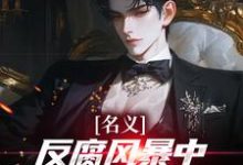 名义：反腐风暴中我帮叔叔卡bug（祁明轩）小说推荐名义：反腐风暴中我帮叔叔卡bug全章小说阅读-黄桃文学