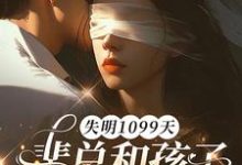 (全文)失明1099天，裴总和孩子我都不要了免费小说全本，谢南枝试读更新章节-黄桃文学