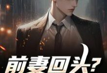 (全文)前妻回头？可惜，迟了！热门小说排行榜，前妻回头？可惜，迟了！秦风全章小说阅读-黄桃文学