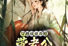 穿越成童养媳，带老公荒年发大财（林十七）小说推荐穿越成童养媳，带老公荒年发大财全章小说阅读-黄桃文学