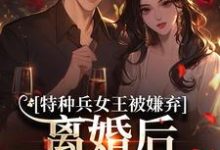 (全文)特种兵女王被嫌弃，离婚后马甲爆了（乔沁顾沉霆）免费小说特种兵女王被嫌弃，离婚后马甲爆了试读更新章节-黄桃文学