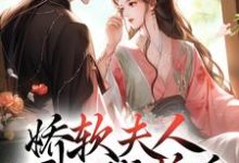 娇软夫人不再撒娇后，侯爷他慌了完整版小说，娇软夫人不再撒娇后，侯爷他慌了乔嫚宁祈全章小说阅读-黄桃文学