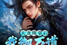 天龙珠拿后，我御万道吞四海江尘完结小说推荐天龙珠拿后，我御万道吞四海全本书籍阅读-黄桃文学