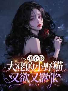 撩不够，大佬的小野猫又欲又嚣张完整版小说，撩不够，大佬的小野猫又欲又嚣张陆晨矅试读更新章节