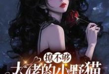 (全文)撩不够，大佬的小野猫又欲又嚣张热门小说排行榜，撩不够，大佬的小野猫又欲又嚣张陆晨矅全章小说阅读-黄桃文学